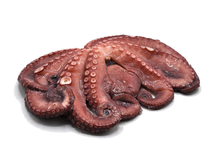 Morocco Octopus