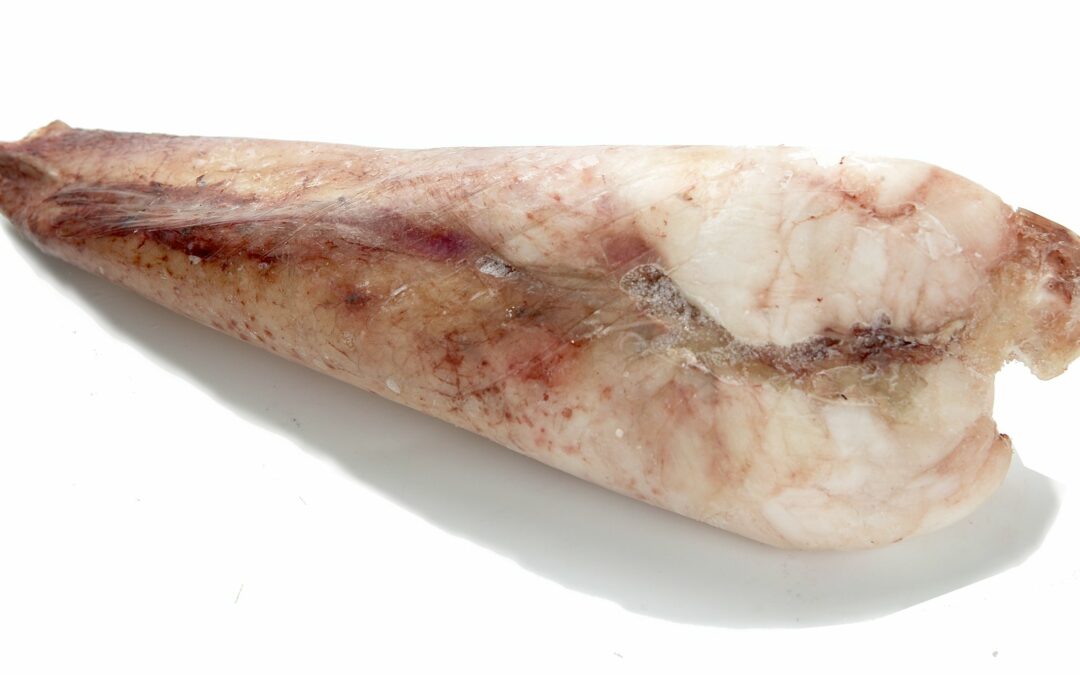 Namibia (Africa) Monkfish without skin